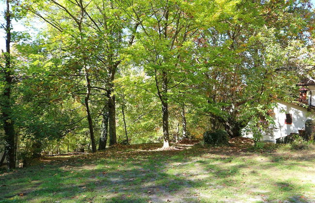 Vintage Vacation Home - Photo 40