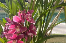 une pépite ZEN et COSY, parking jardin, idéal pour se ressourcer au calme - Foto 14