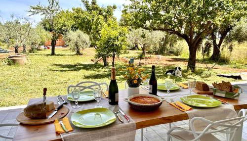 Casa RiVa - Among olive trees and the Tuscan coast - Foto 4, Garden