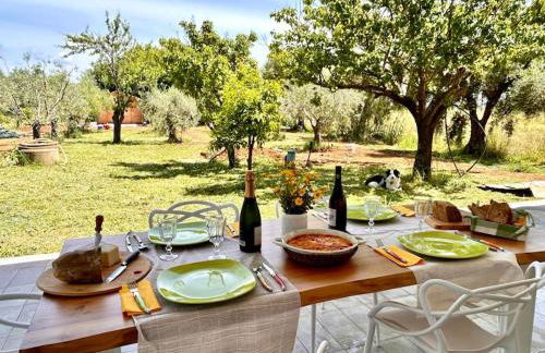 Casa RiVa - Among olive trees and the Tuscan coast - Foto 4