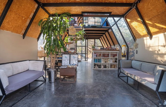 Bosque Geométrico - Foto 2