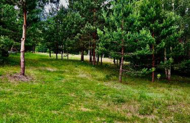 Rezydencja Osiek Cała Willa dla Ciebie i Rodziny - Foto 9