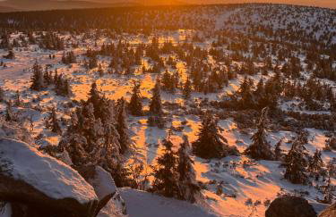 Apartament 209 Kras Resort Spa - Foto 23