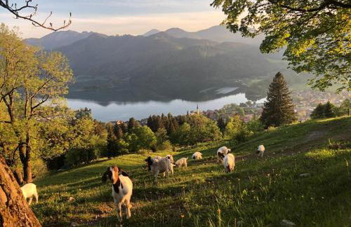 neu ab Juli - Einzigartiges Loft am Seerosenteich - Foto 38