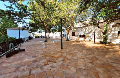 Complejo Apartamentos Rurales Molino de Abajo - Foto 16