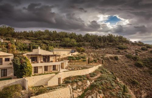 Forest Within - Wellness Villa in Archanes - Foto 20