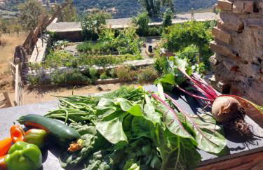 Cortijos Rey Fini - Foto 60