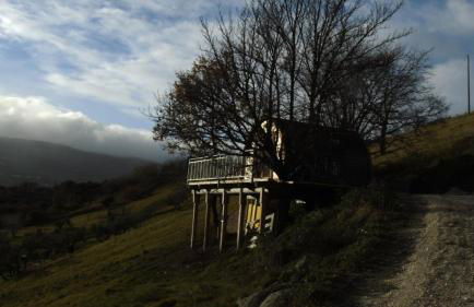 Casa nei 3 alberi, Molise - Foto 27