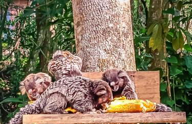 Chalé 05 Itaipu Vale da Colina Niterói - Photo 21