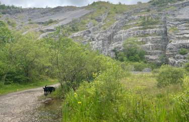 Kabin in the woods with Hot Tub - Foto 73