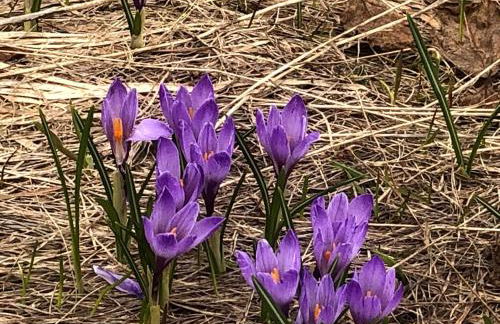 Giuditta FreeCarPark&Garden - Photo 62