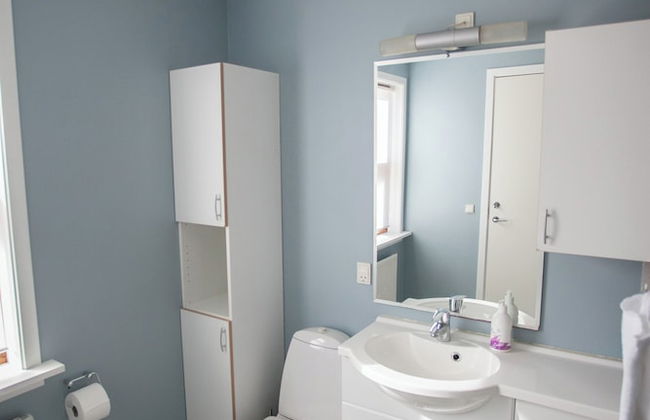 Downtown / Newly Renovated 2 Bedroom Apartment - Foto 21