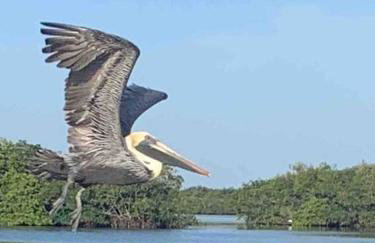 Swimming, Boating, Fishing on Gulf & Heated pool - Foto 58