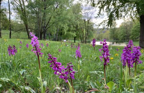 Gemütliche Ferienwohnung Harz Braunlage Hohegeiß - Foto 25