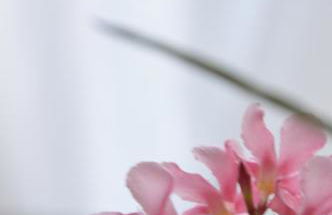 Villa Maghetti - modernized flat in historic palazzo in the center of Luino - Foto 9