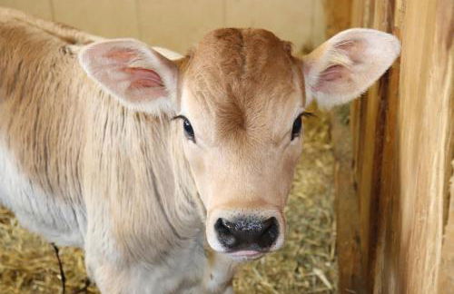 Schneiderhof - Foto 25