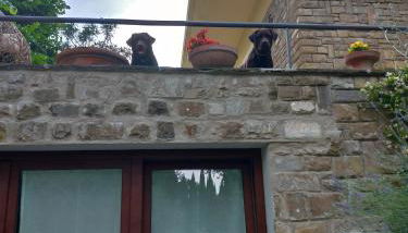 Poggio Gherardo - Foto 2