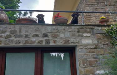 Poggio Gherardo - Foto 2