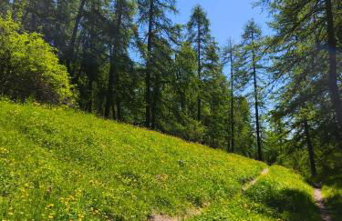 Le cocon beuillois - Foto 18