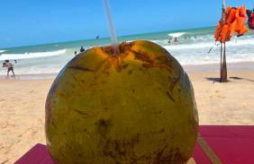 Canoa Breeze - Apartment Rooftop - Photo 37