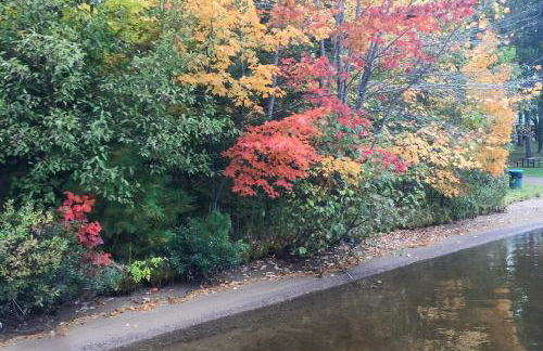 Camp Farrell - Foto 49