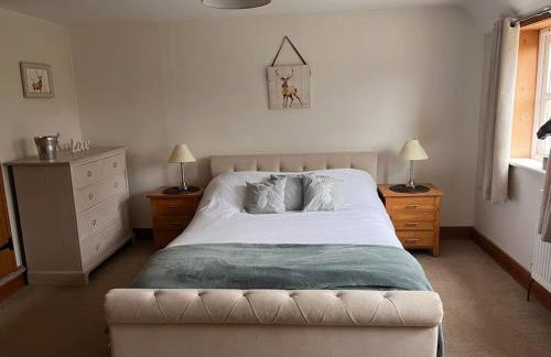 The Paddocks - Photo 18