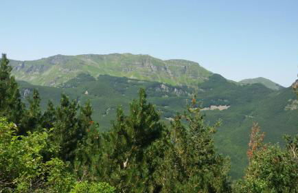 Residence Cimone SuperSci Polle-life - Foto 84