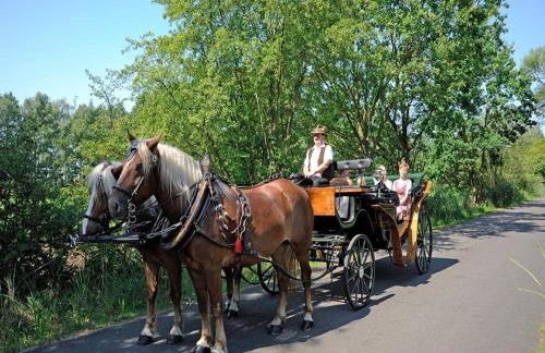 Ferienwohnungen Spreewaldperle, Alt Zauche - Foto 12