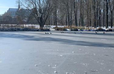 Les horizons de Jules - Foto 21