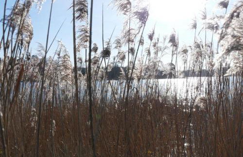 Landhaus am See App. 2 - Foto 24