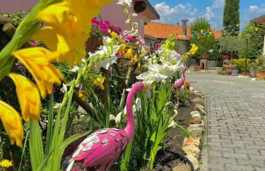 Agriturismo Arcobaleno Assisi - Photo 15