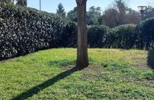 Location appartement les pieds dans l'eau, Résidence Aqua Linda à Poggio-Mezzana - Foto 32