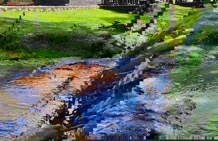 Cabanas Loft Paraíso - Foto 26