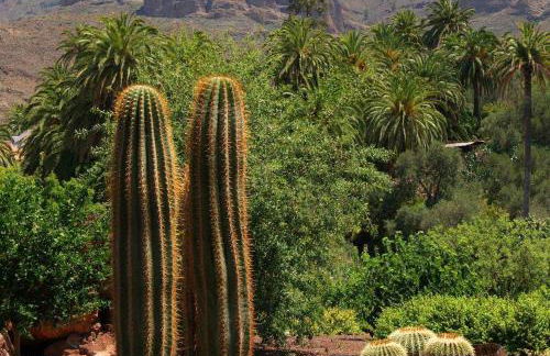Casa Rural La Fuente de la Flora - Foto 32