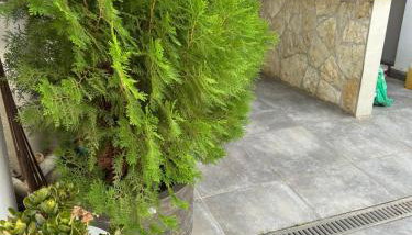 Palataki Residence - Foto 5, Garden