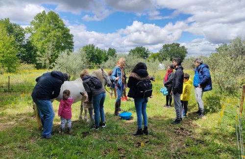 Casa das Palmeiras - Pedagogic Farm - Foto 12
