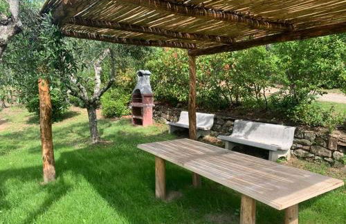 Agriturismo Fattoria Celle - Photo 20