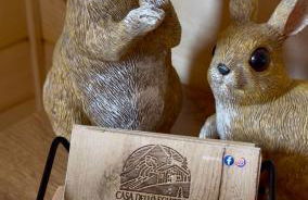 Casa dello Sciatore Lorica - Foto 17