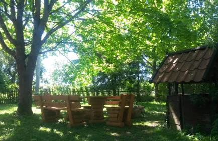 Dziki brzeg Jezioraka - Foto 23