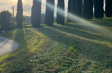 Country house Il Poggio - Foto 37