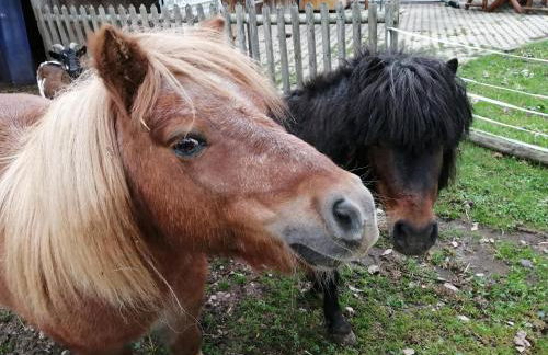 Urlaub an der Grenze - Foto 9