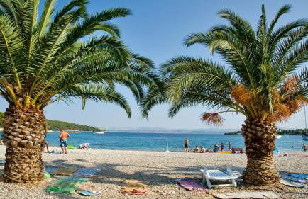 Seafront rural big house at Solta Croacia island - Photo 45