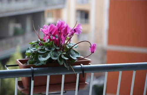 La Collina di Parthenope Vomero - Foto 25