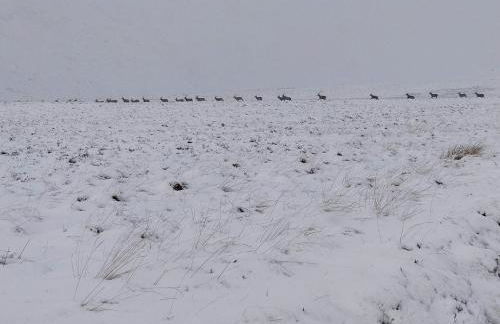 Cluny Mains - Foto 38