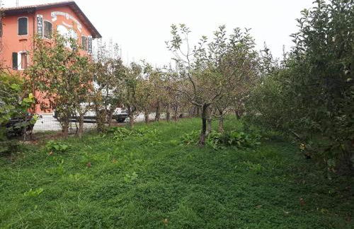 Agriturismo Quadrifoglio Relax - Foto 9