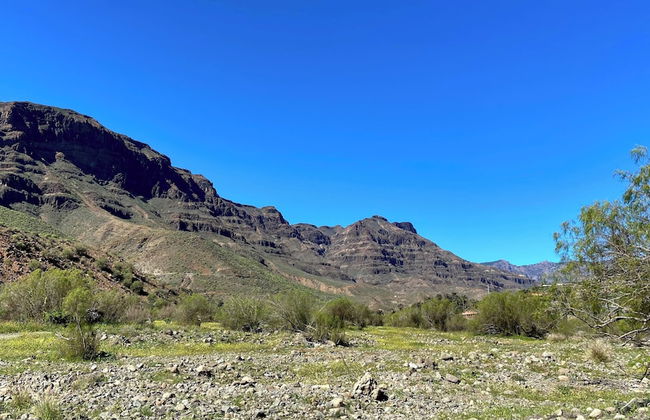 Renovated Tiny House in the Country Near Fataga - Photo 21