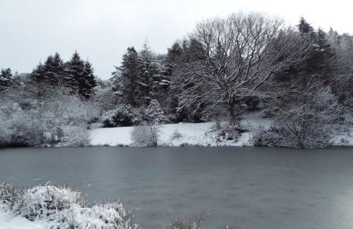 The old hayloft on 22 acre country smallholding - Foto 28
