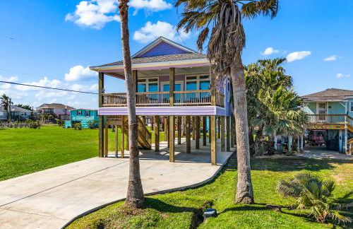 The Purple Pelican - Photo 3