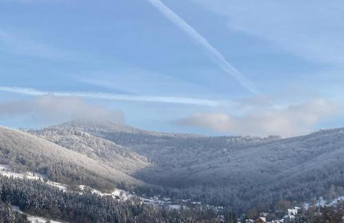 Zawoja Nad Koroną z jacuzzi - Foto 17