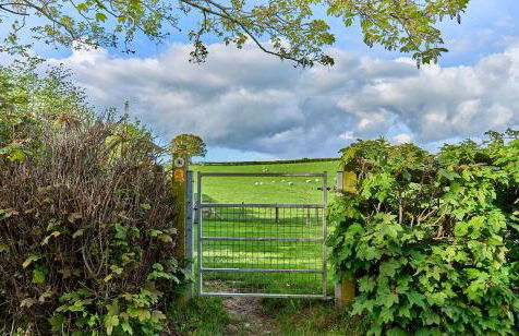 Holly Lodge - Foto 45